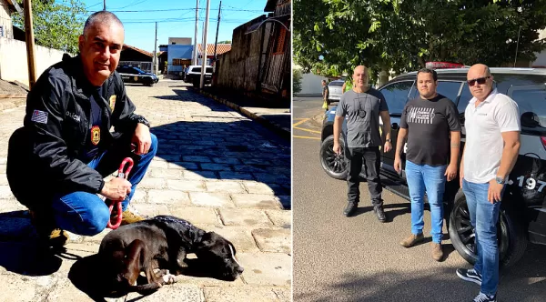 Maus-tratos contra animais: Polícia Civil e ONG Spaddes fazem operações em Marília