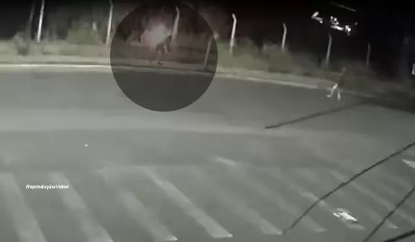 Dupla é flagrada ateando fogo em área reflorestada em Marília