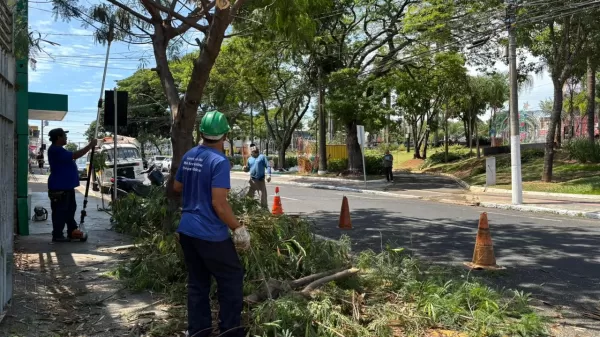 Força-tarefa revitaliza o centro de Marília para as festividades de fim de ano