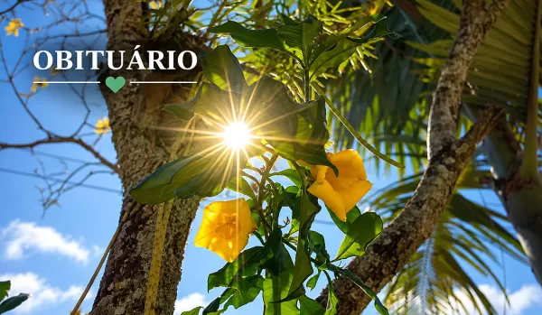 Serviço: obituário atualizado de Marília e região 