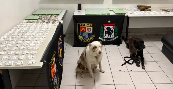 BAEP apreende mais de mil porções de drogas enterradas na Vila Barros em Marília