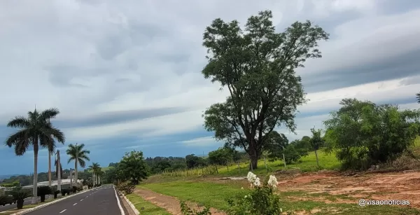 Confira a previsão do horóscopo para o seu signo neste domingo (18/01)