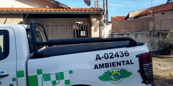 Polícia Ambiental aplica multas a quem maltrata animais