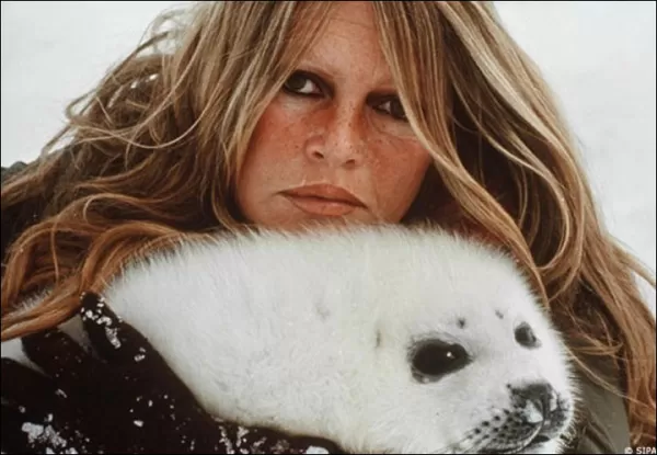 Lenda do cinema francês e protetora dos animais, Brigitte Bardot morre aos 91 anos