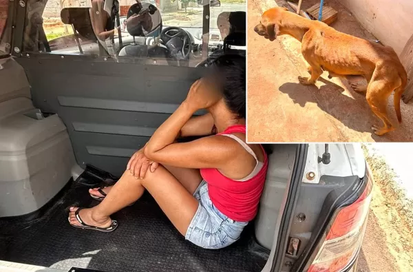 Maus-tratos: mulher é presa acusada de abandonar cadela e oito filhotes em Guarantã