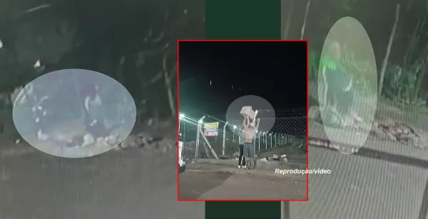 Vídeos flagram moradores jogando lixo em bairros da zona sul de Marília