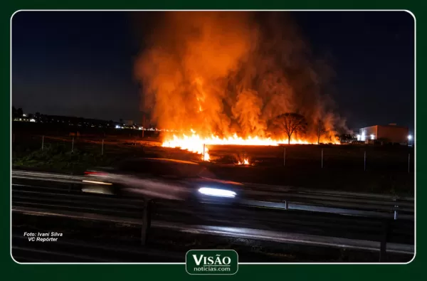 Queimada às margens da SP-294 mobiliza Bombeiros e preocupa motoristas em Marília