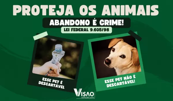 Falta de atendimento veterinário a cão leva moradora de Marília a responder pelo crime de maus-tratos