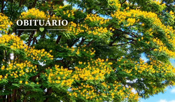 Quem nos deixou: registros de obituário desta segunda-feira em Marília e região