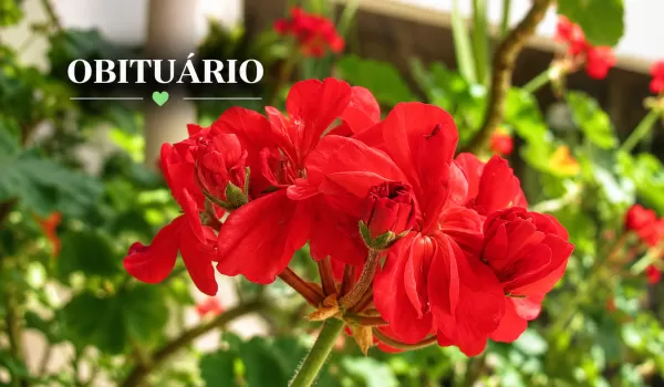 Obituário: confira as despedidas desta segunda-feira em Marília e região