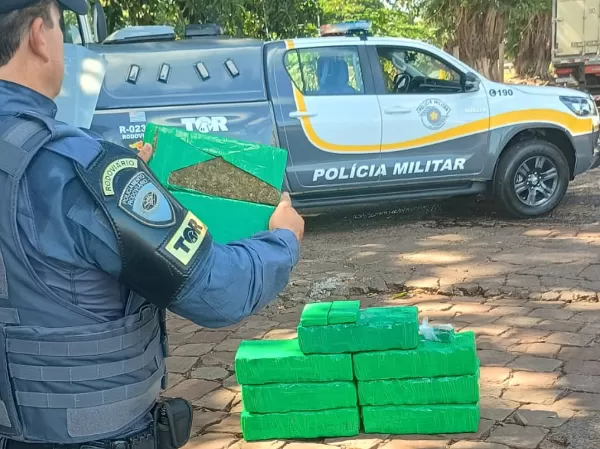 Apreensões de drogas em Marília e região causam grande prejuízo ao tráfico