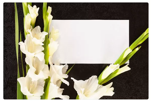 Obituário: Registros deste sábado (28/03) em Marília