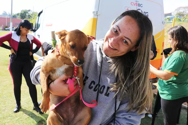 Posse responsável: feira de adoção de animais será realizada em Marília