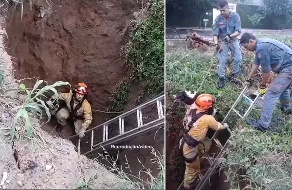 Cão é resgatado por Bombeiros em Marília após cair em enorme buraco