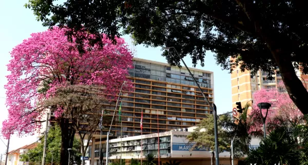 Marília – 95 anos: cidade tem índices comparados com países desenvolvidos e fortalece novas vocações econômicas