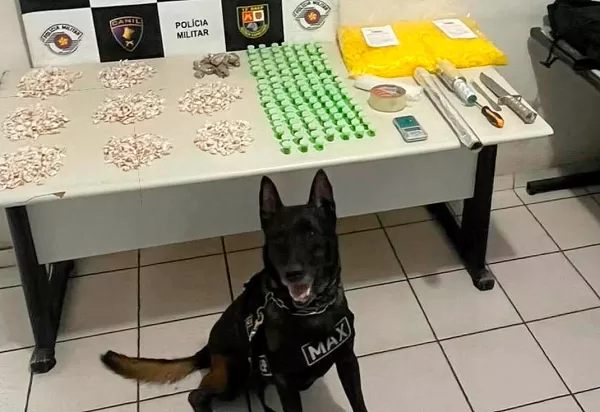 Cão Max, doado por empresários marilienses ao BAEP, faz mais uma grande apreensão de drogas