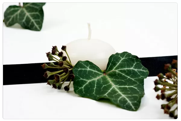 Obituário: Sepultamentos neste domingo (18/04) em Marília e região