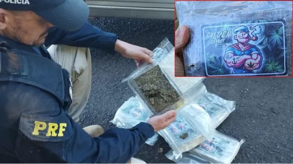 PRF apreende maconha com estampa do marinheiro Popeye na BR-153