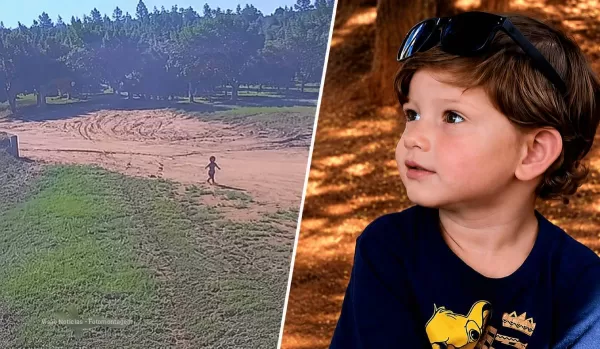 Força-tarefa procura menino de dois anos desaparecido em fazenda próximo a Marília