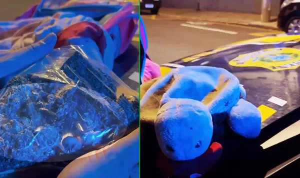 PRF apreende droga em bicho de pelúcia em Marília