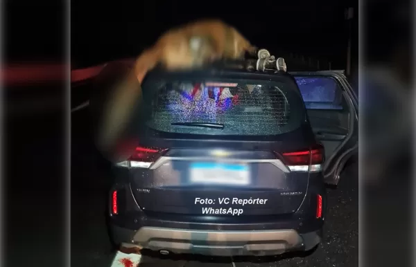 Fogos de artifício podem ter causado grave acidente envolvendo família mariliense na SP-294