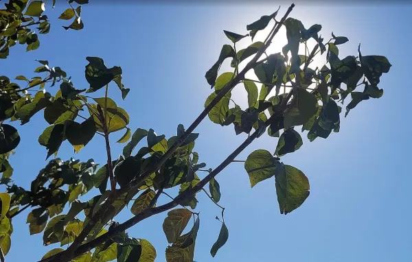 Horóscopo do dia: confira a previsão para esta segunda-feira (dia 2 de março)