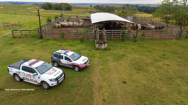 Agropecuarista é preso após PM recuperar quase 100 cabeças de gado furtadas em Minas Gerais