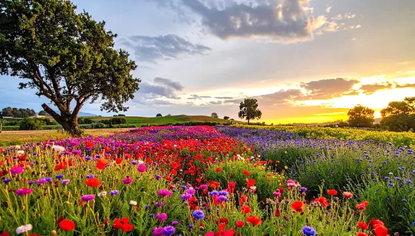 Obituário: falecimentos do dia 16/03 em Marília