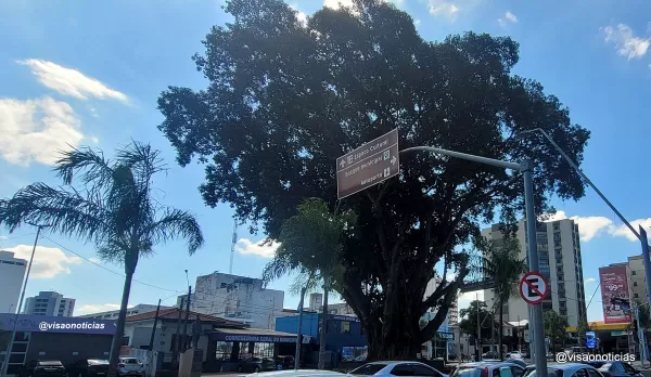 Horóscopo: previsão para o seu signo nesta sexta-feira (dia 23)