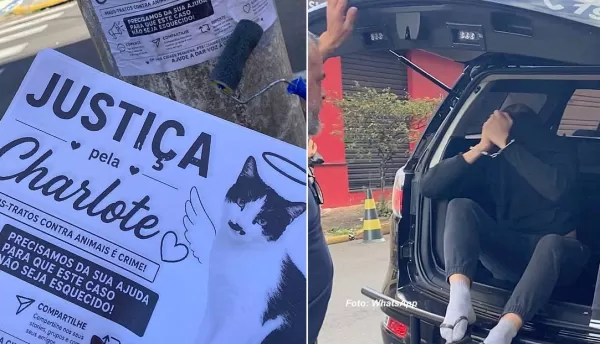 Jovem suspeito de matar e queimar gatinha em churrasqueira de condomínio é preso em Marília