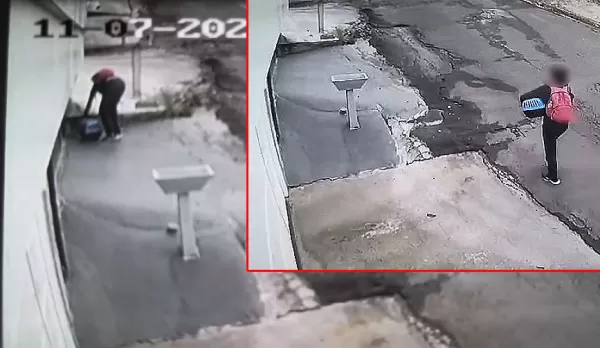 Câmera de segurança flagra mais um abandono de animal em Marília