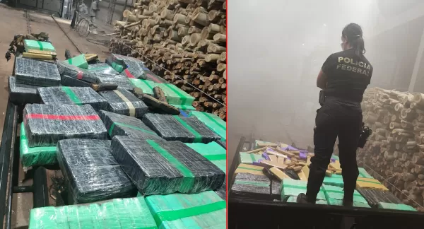 Polícia Federal destrói mais de 10 toneladas de drogas em Marília  