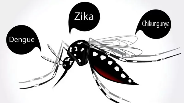 Tupã registra quarta morte por chikungunya e a primeira por dengue neste ano