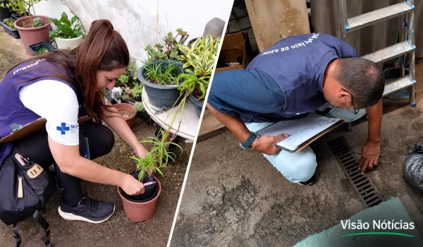 Combate à dengue elimina oito focos do mosquito em Marília, mas chuva prejudica visitas