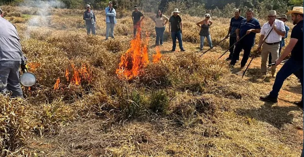Prevenção a incêndios florestais: capacitação que protege Quintana e a região