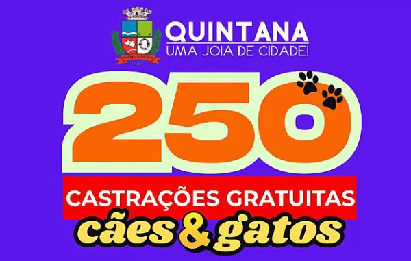 Quintana oferece 250 castrações gratuitas para cães e gatos. Veja como cadastrar