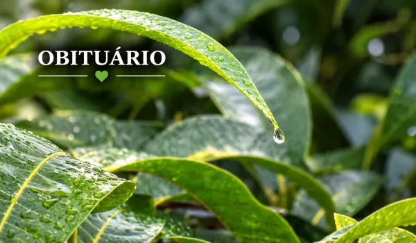 Obituário de Marília e região: informações sobre as despedidas deste sábado
