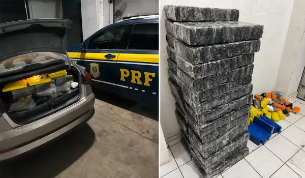 PRF apreende mais de 340 kg de maconha e skunk após perseguição na BR-153, em Marília