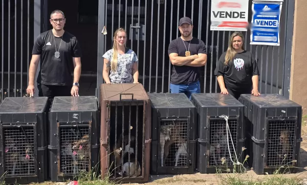 Prefeitura de Marília resgata 18 cães abandonados