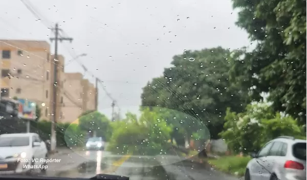 Chuva: Defesa Civil emite novo alerta. Árvore cai e mobiliza Bombeiros em Marília