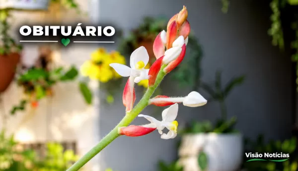 Obituário: histórias e lembranças marcam as despedidas desta quinta-feira