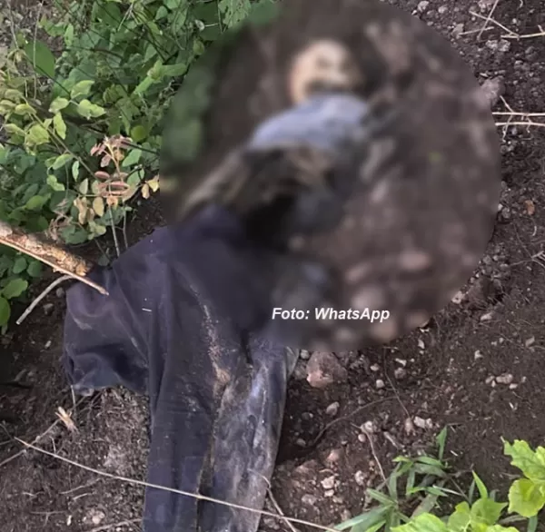 Mistério em Marília: ossada humana é encontrada por crianças na zona sul