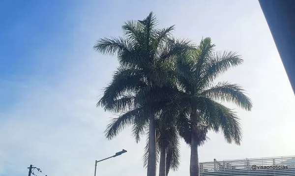 Horóscopo: previsão para o seu signo nesta terça-feira (20/01)