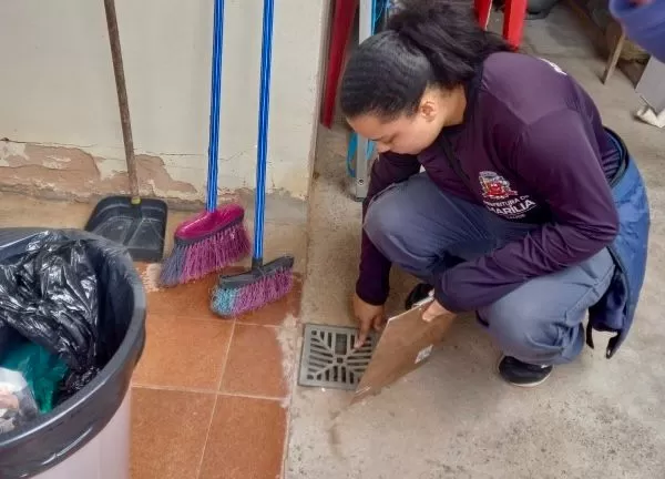 Ações de combate ao mosquito Aedes aegypti são realizadas em Marília
