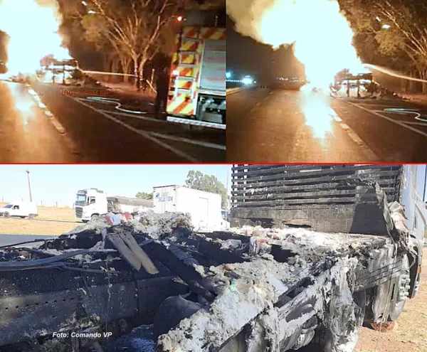 Caminhão pega fogo em rodovia, destrói carga e prejuízo chega a R$ 100 mil
