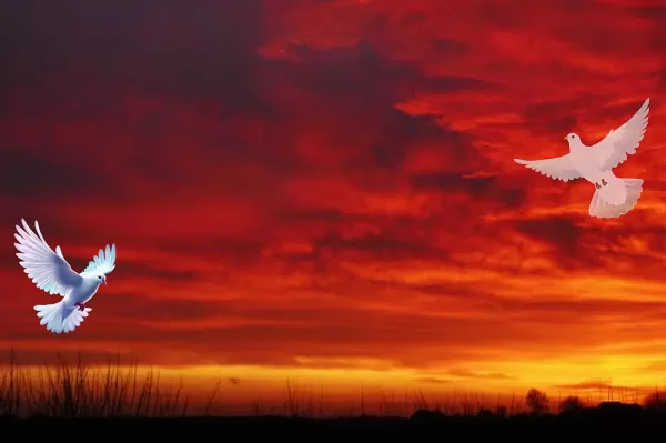 Sepultamentos previstos para esta terça-feira (21) em Marília e região