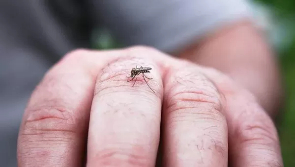 Dengue: Marília registra 14 mortes e mais 12 aguardam confirmação