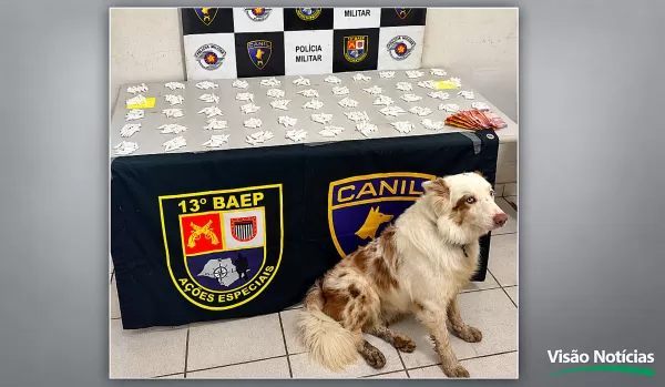 Jovem com antecedente por homicídio é preso novamente pelo Canil do BAEP com mais de 500 porções de cocaína em Marília