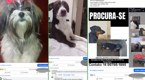 Resgate de PETS: Visão Notícias ajuda a reencontrar animais perdidos aos seus tutores