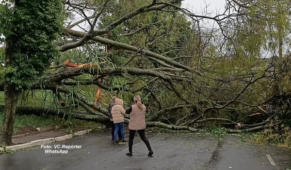  Árvore cai sobre carro e deixa três feridos durante temporal em Marília. Pelo menos sete locais de votação estão sem energia 